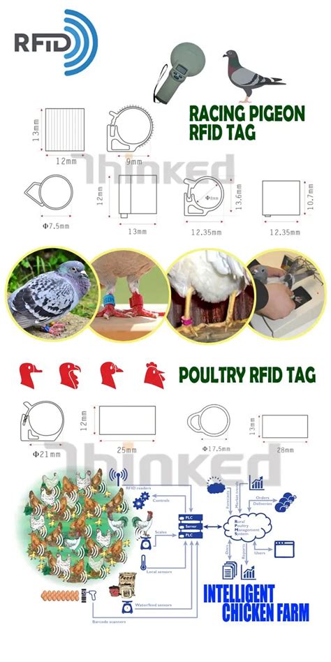 rfid chicken tags|gps trackable poultry tags.